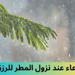 دعاء عند نزول المطر للرزق