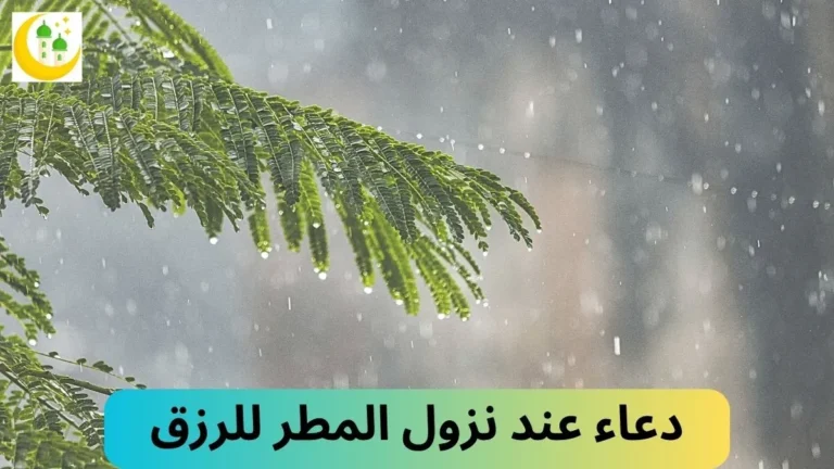 دعاء عند نزول المطر للرزق