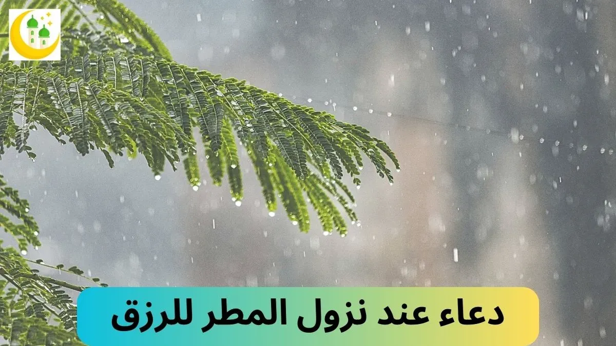 دعاء عند نزول المطر للرزق